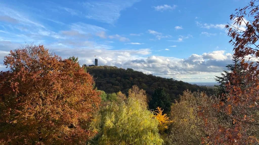 mit Blick auf die Burg