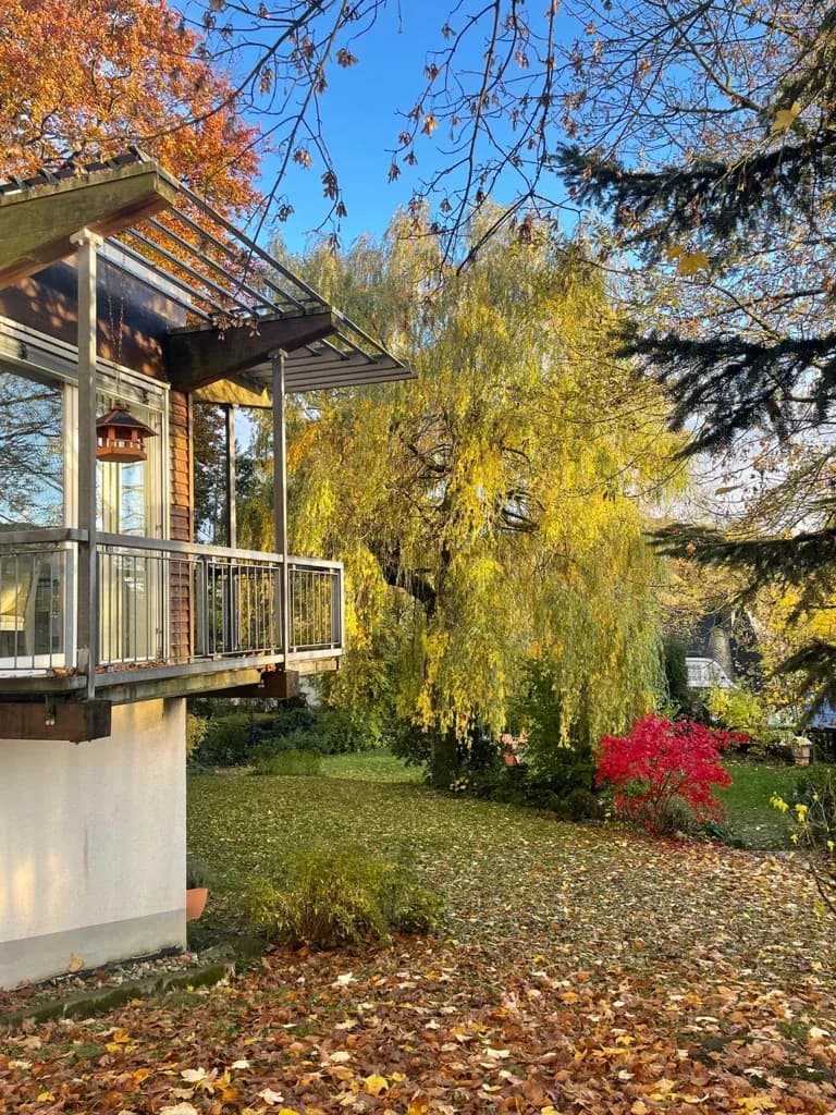 der Blick in den Garten
