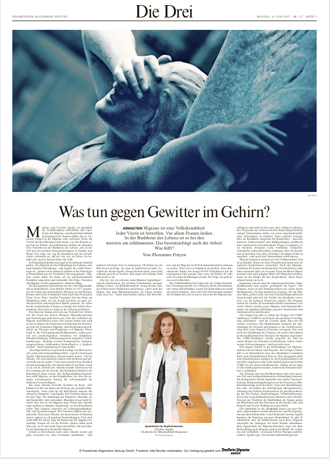 FAZ Artikel
